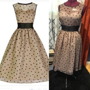 Lindy Bop Mocha & Black Swing Dress